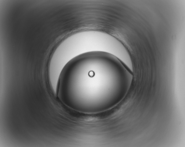 X0000089750348200707051819