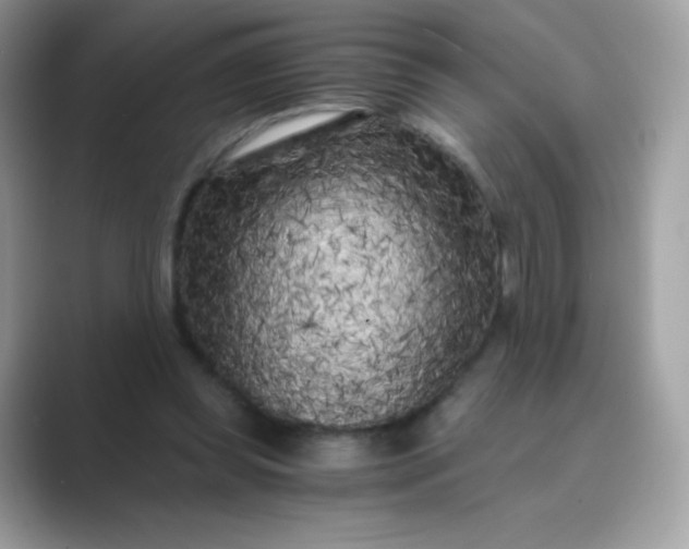 X0000089750349200707051819