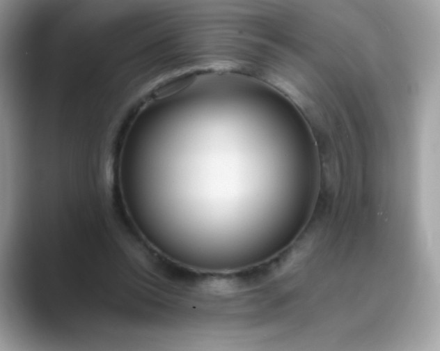 X0000089750350200707051819