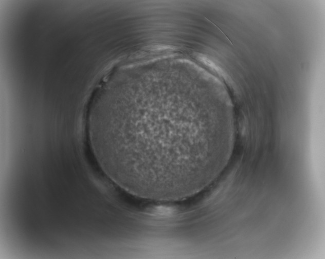 X0000089750352200707051819