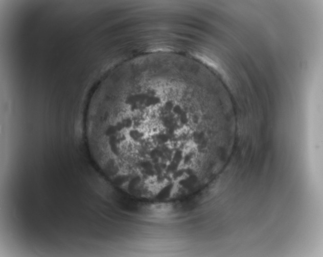 X0000089750353200707051819