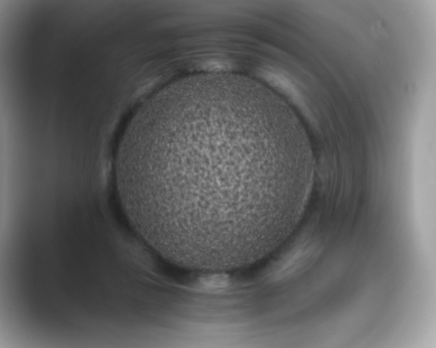 X0000089750355200707051819