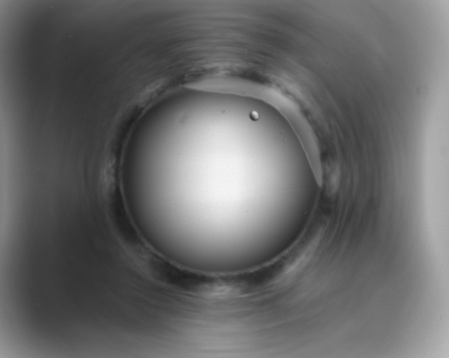 X0000089750356200707051819