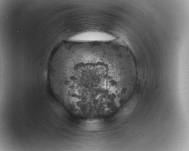 X0000089750357200707051819