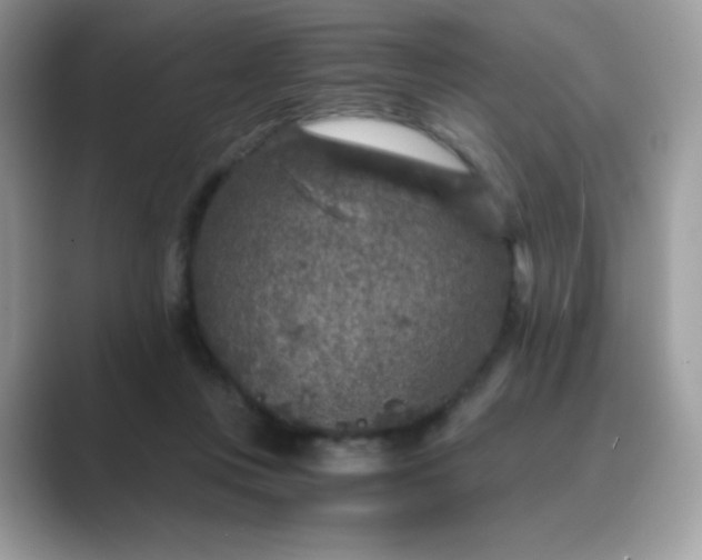 X0000089750359200707051819