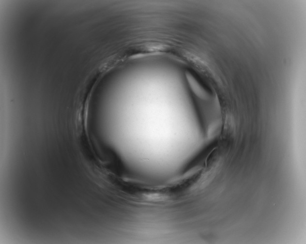 X0000089750360200707051819