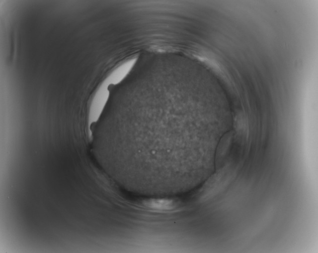 X0000089750361200707051819