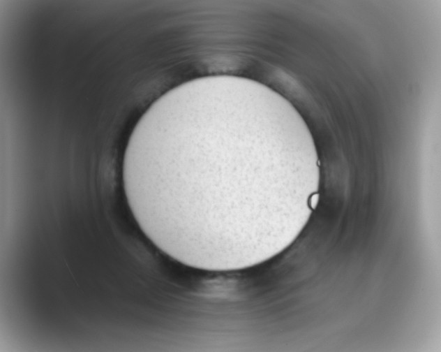 X0000089750362200707051819