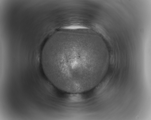 X0000089750363200707051819