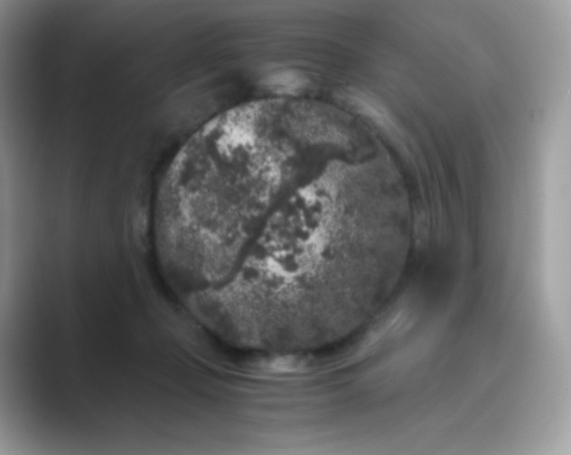 X0000089750365200707051819