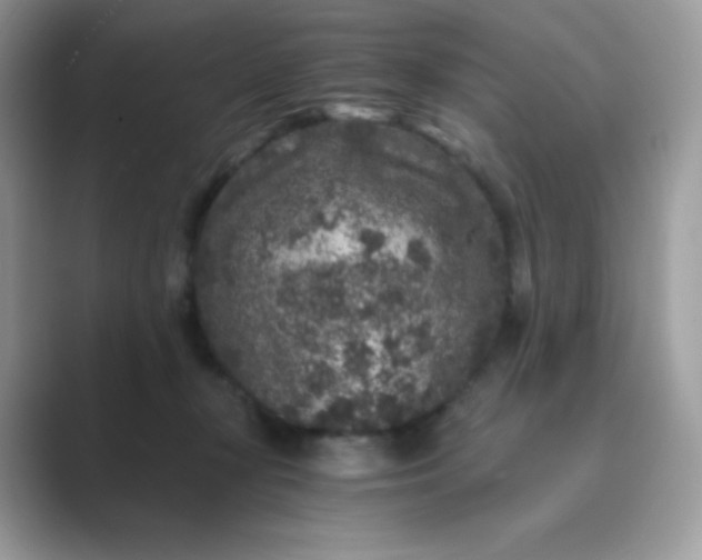 X0000089750367200707051819