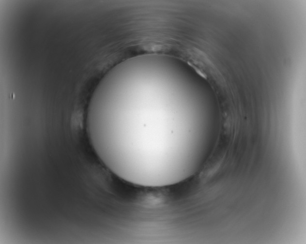 X0000089750368200707051819