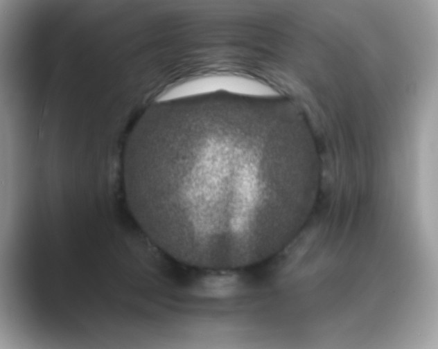 X0000089750369200707051819