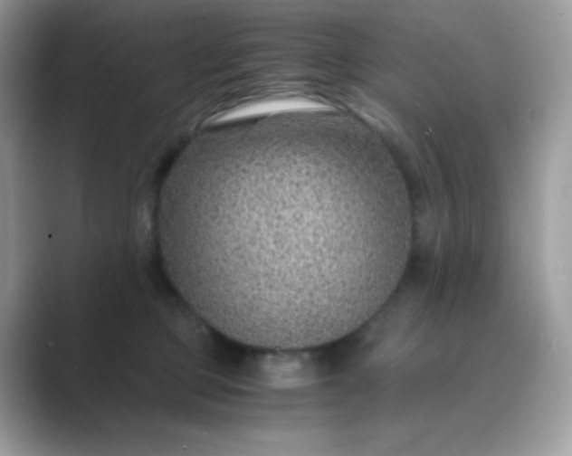 X0000089750373200707051819