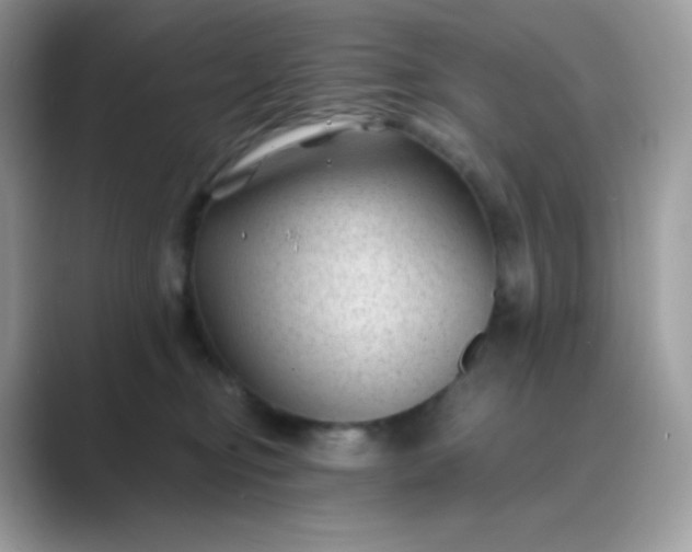 X0000089750374200707051819