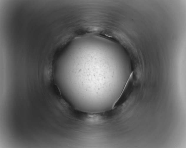 X0000089750376200707051819