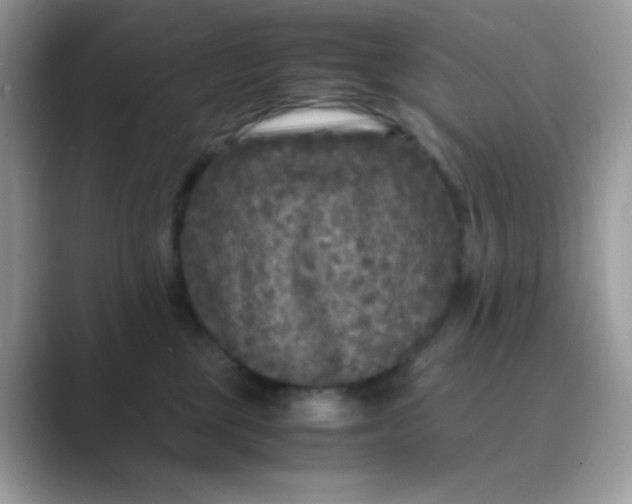 X0000089750377200707051819