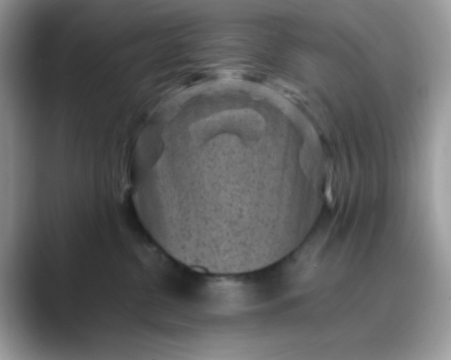 X0000089750380200707051819