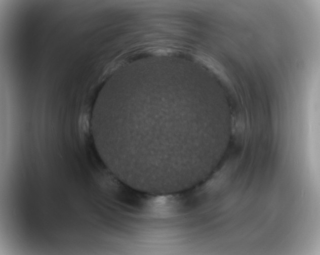 X0000089750382200707051819