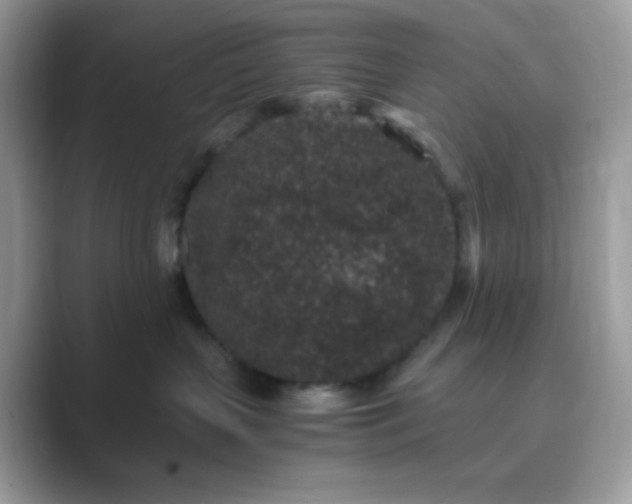 X0000089750383200707051819