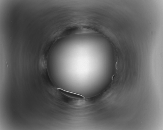 X0000089750384200707051819