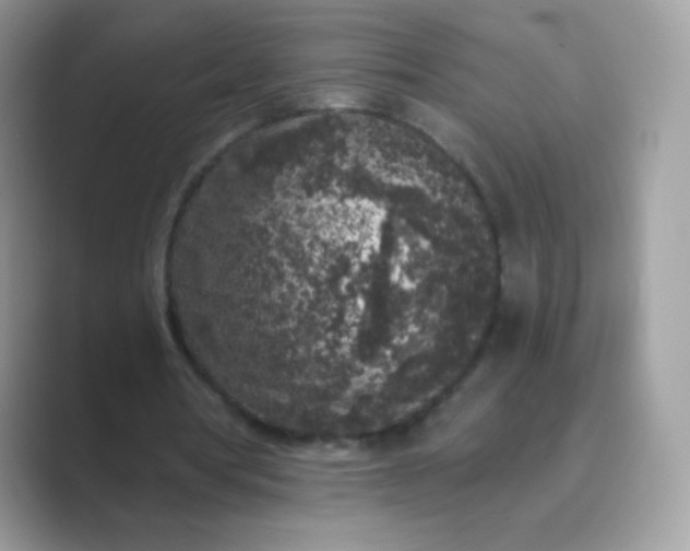 X0000089750386200707051819