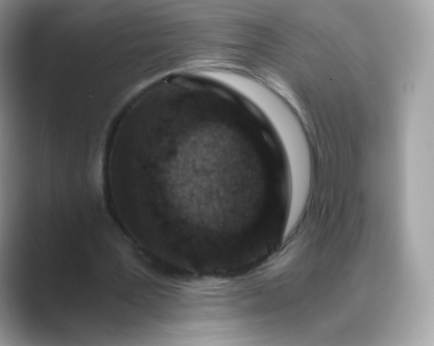 X0000089750387200707051819