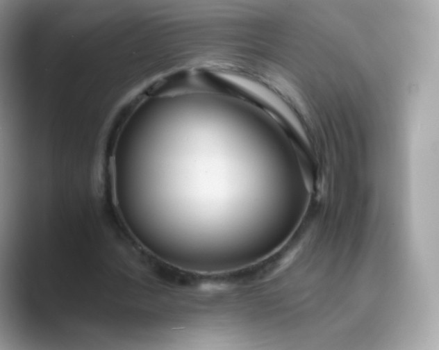 X0000089750388200707051819