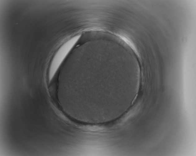 X0000089750389200707051819