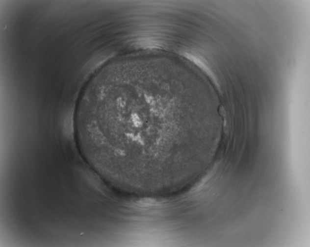 X0000089750390200707051819