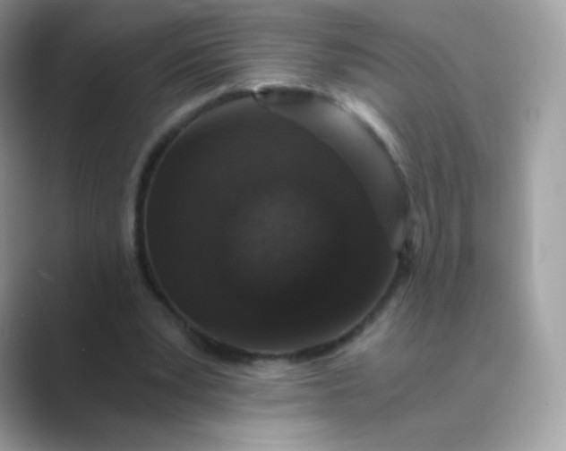 X0000089750391200707051819