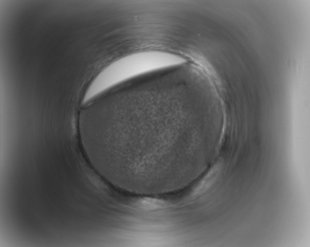 X0000089750393200707051819