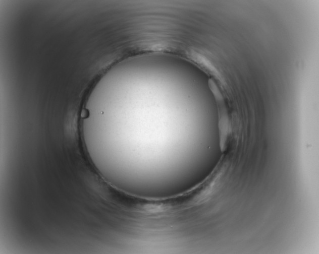 X0000089750394200707051819