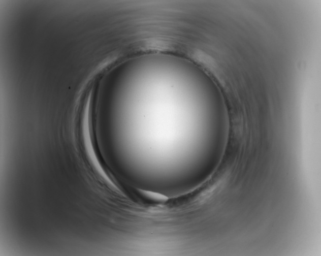 X0000089750395200707051819