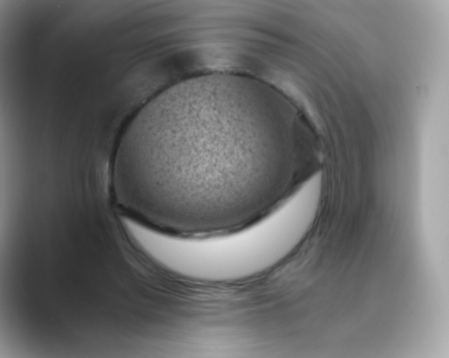 X0000089750397200707051819