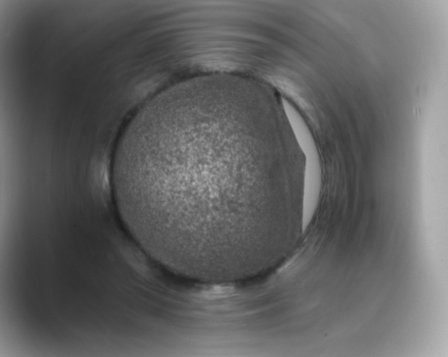 X0000089750398200707051819