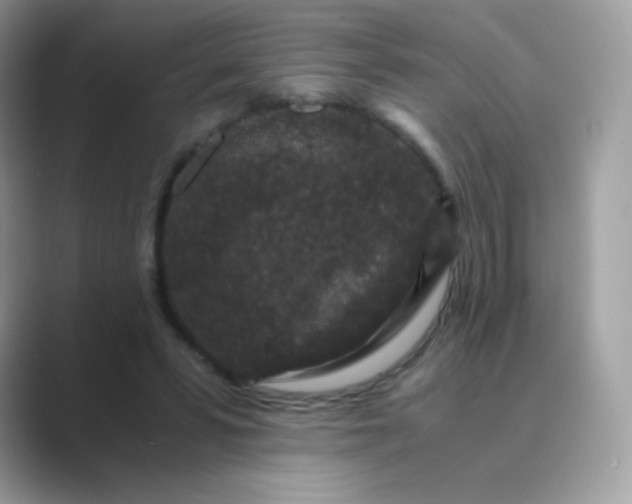 X0000089750399200707051819