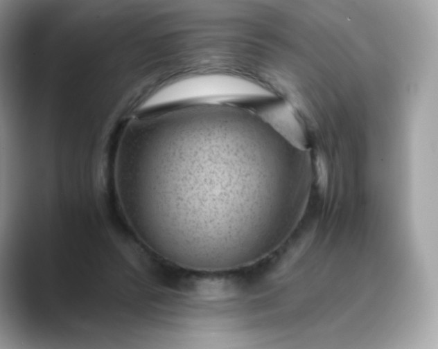 X0000089750400200707051819