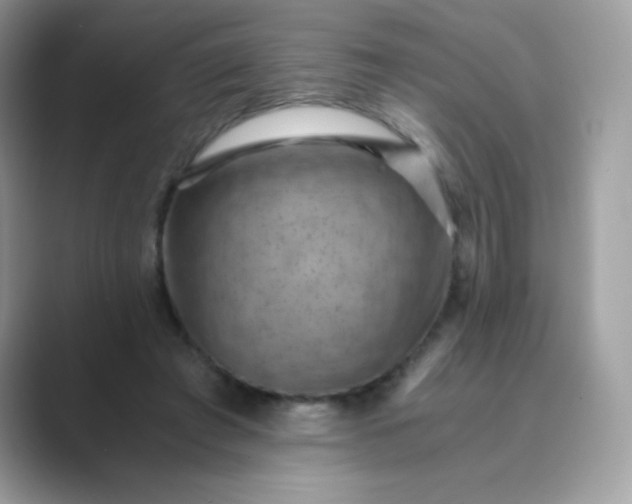 X0000089750401200707051819