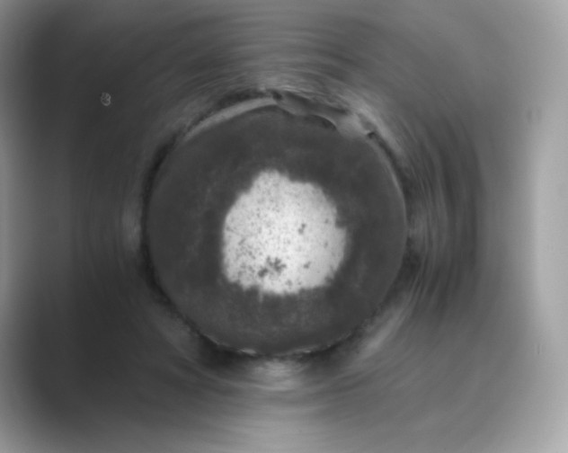 X0000089750402200707051819