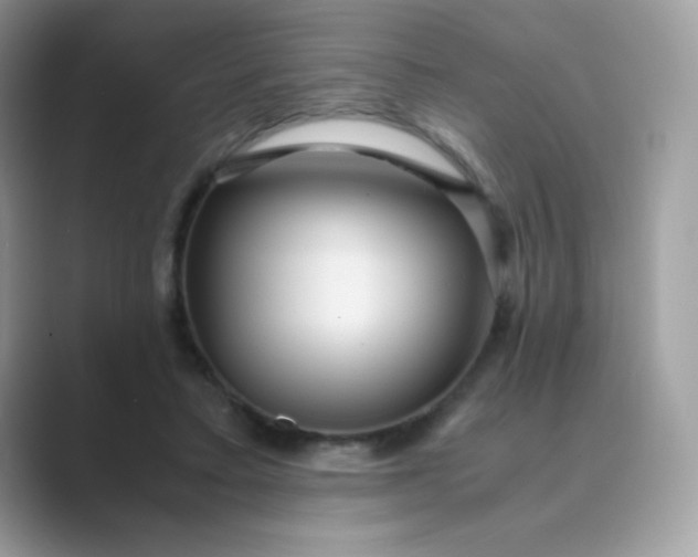 X0000089750403200707051819