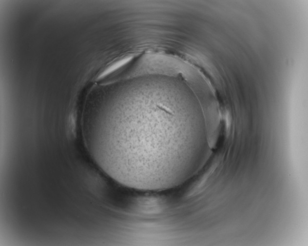 X0000089750404200707051819