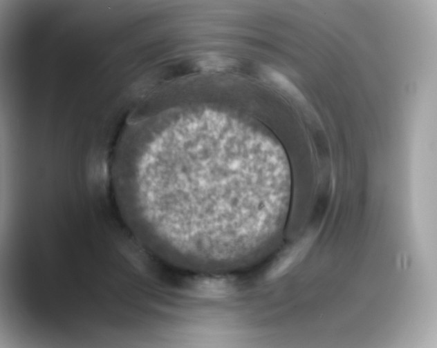 X0000089750405200707051819