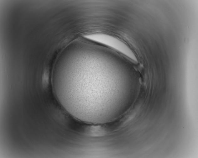 X0000089750406200707051819