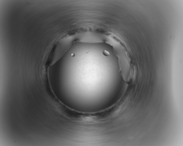 X0000089750407200707051819