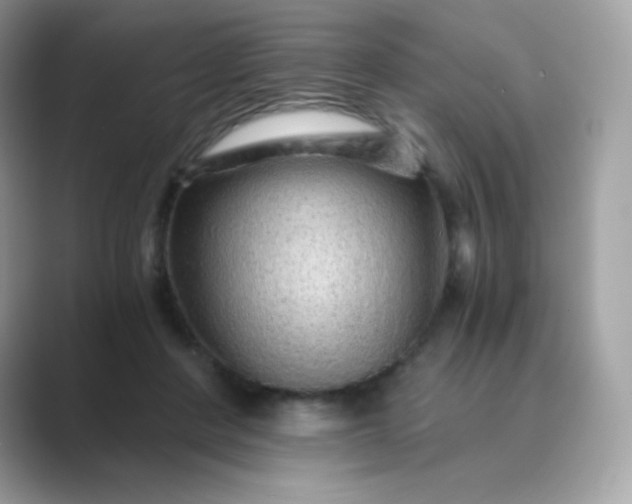 X0000089750408200707051819