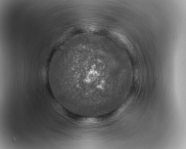 X0000089750409200707051819