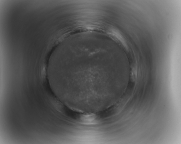 X0000089750410200707051818