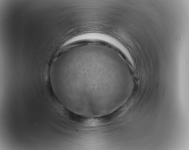 X0000089750413200707051818