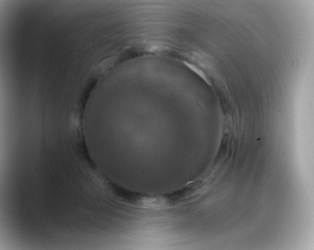 X0000089750415200707051818